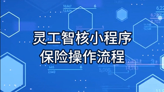 灵工智核小程序：保险使用流程